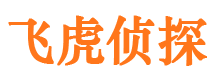 徐汇市调查公司